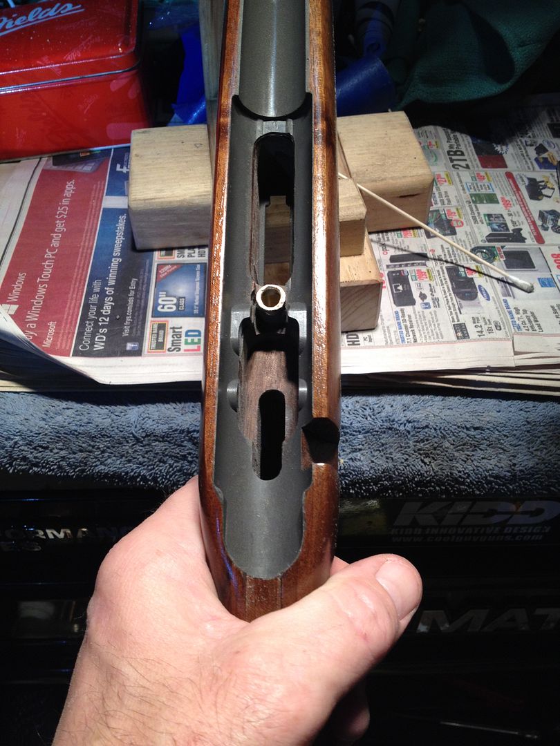 Forums Glass bedding cz457